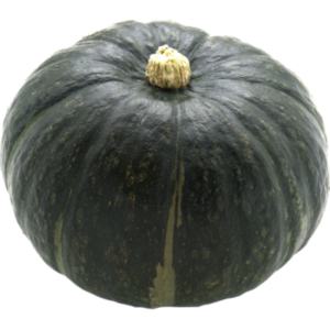 supermarket squash