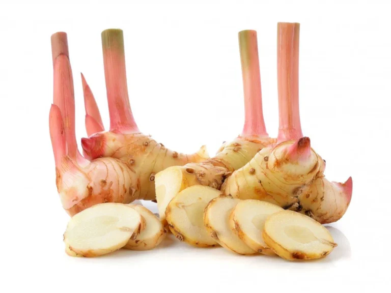 Fresh Ginger Thai root, vibrant and aromatic, ready to elevate your dishes with its exotic flavour profile.