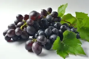 Black Grapes