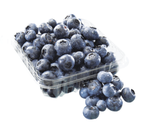 A colourful assortment of handpicked fresh blueberries, bursting with juiciness