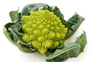 Fresh broccoflower with vibrant green florets, ready to be enjoyed in cooking