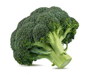 Fresh broccoli florets