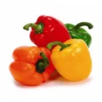 capsicum-pack