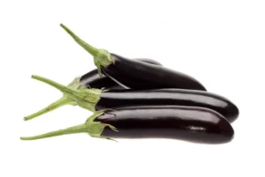 Long Eggplant