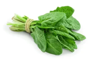 Close-up of vibrant spinach leaves