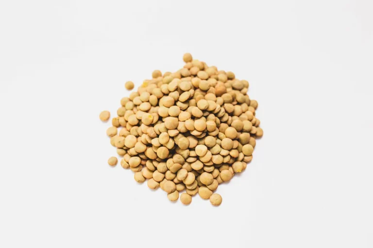 Brown Laird Lentil