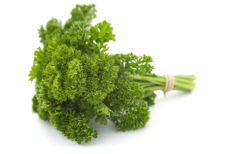 Curly Parsley