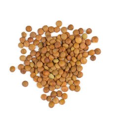 Spanish Brown Lentils