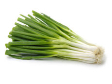 Spring Onion