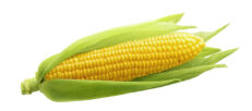 Sweetcorn